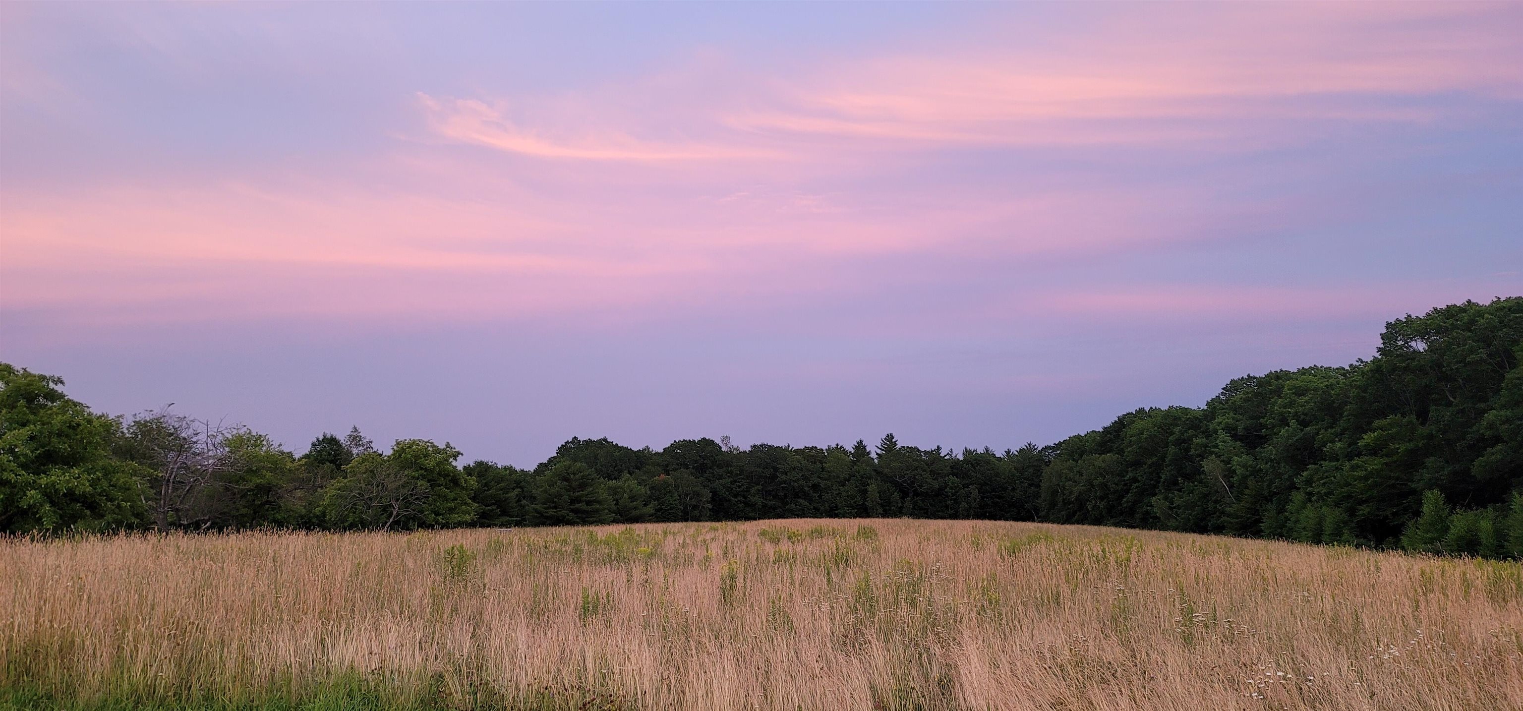 0 Bingham Road Gilmanton, NH 03237 - Photo 3 of 6