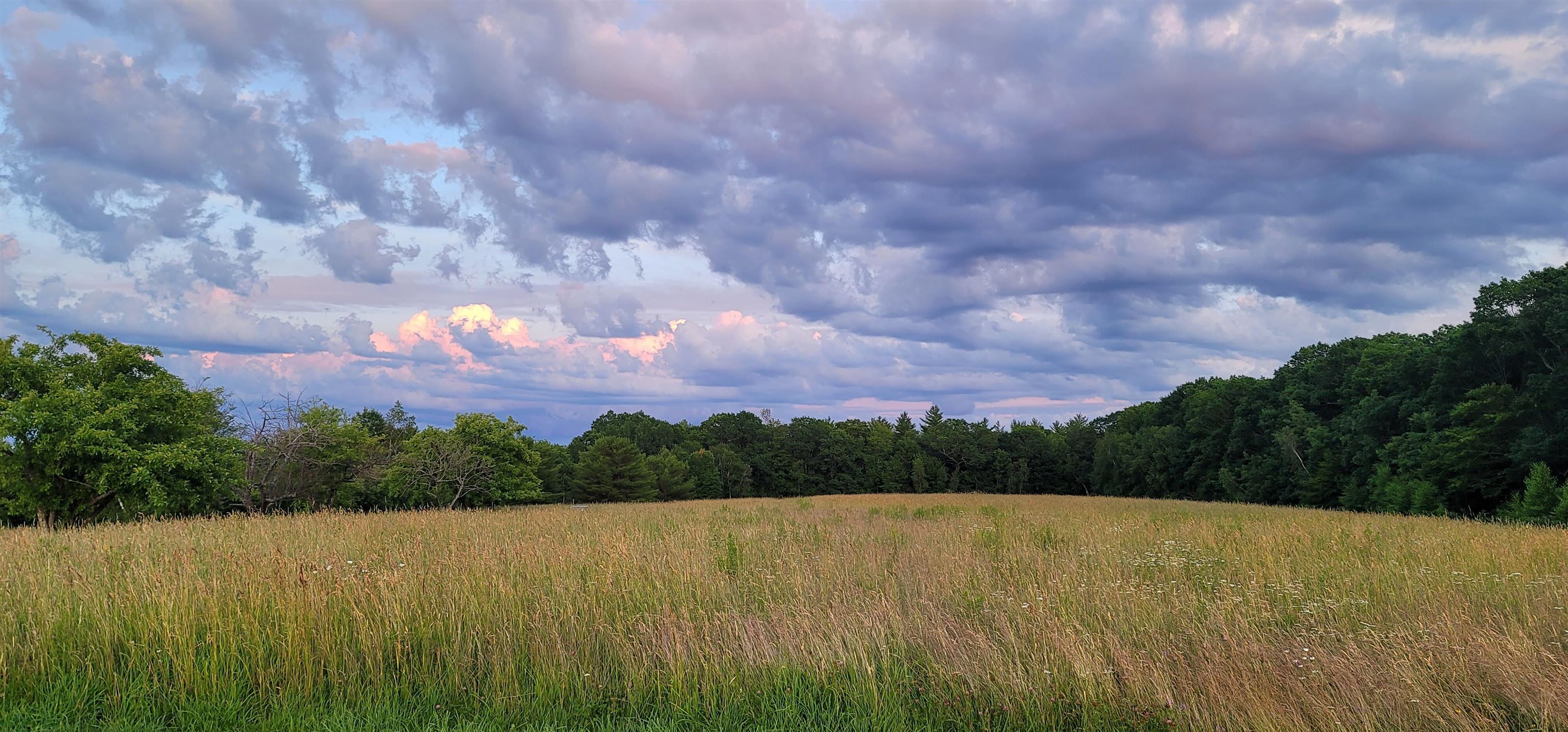 0 Bingham Road Gilmanton, NH 03237 - Photo 4 of 6