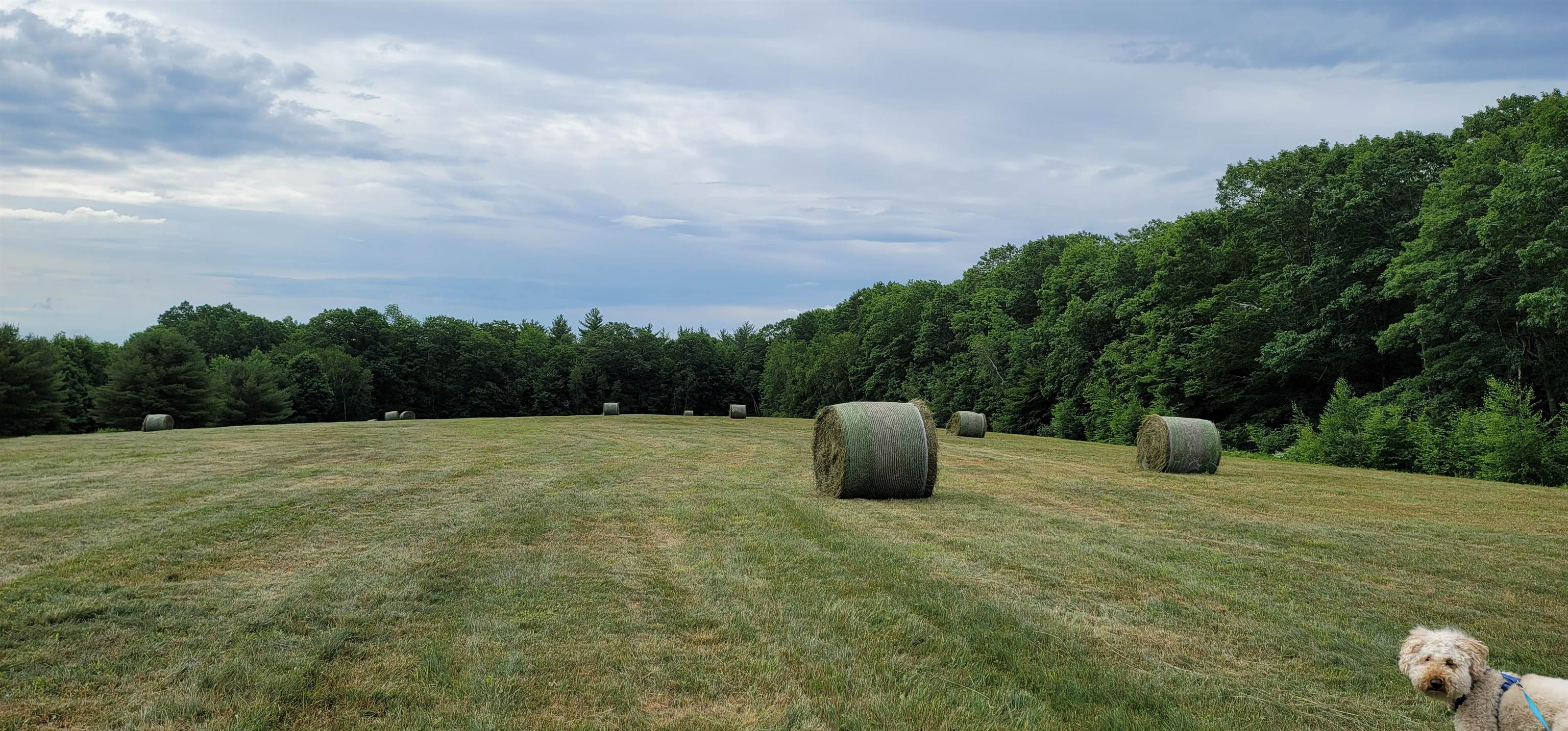 0 Bingham Road Gilmanton, NH 03237 - Photo 5 of 6