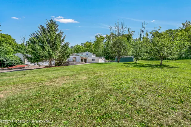 a view of a field of grass and trees