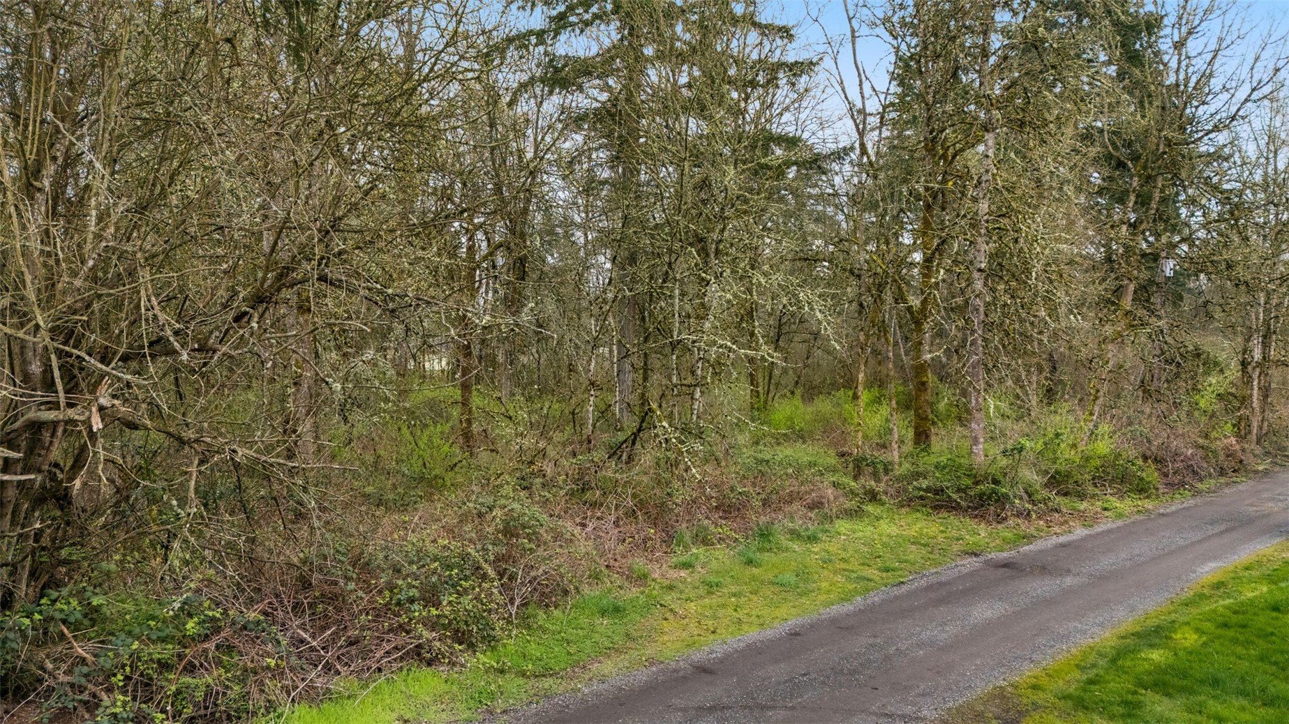 0 364 Xx 48th Avenue South Auburn, WA 98001 - Photo 6 of 19