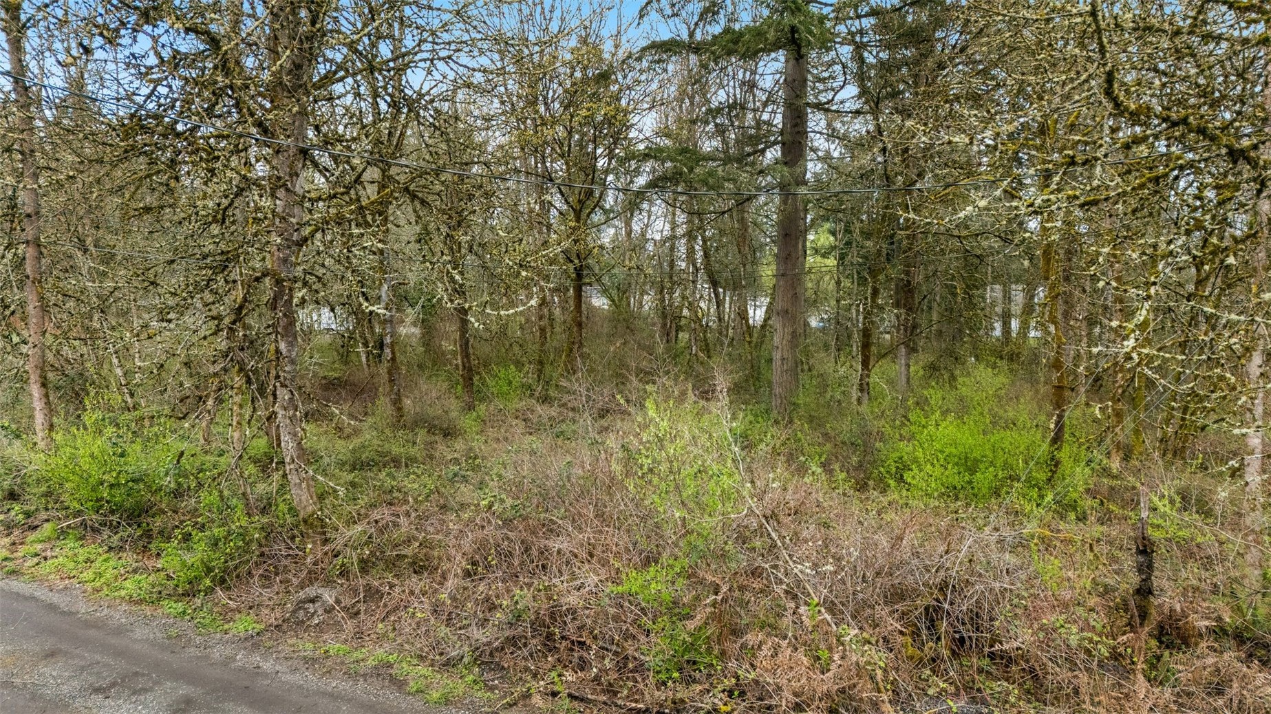 0 364 Xx 48th Avenue South Auburn, WA 98001 - Photo 7 of 19