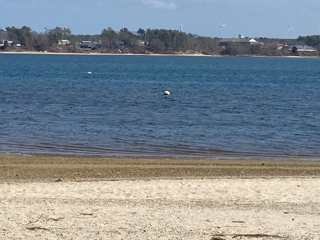 26 Wenonah Road Wareham, MA 02532 - Photo 17 of 21 a view of an ocean beach and mountain view
