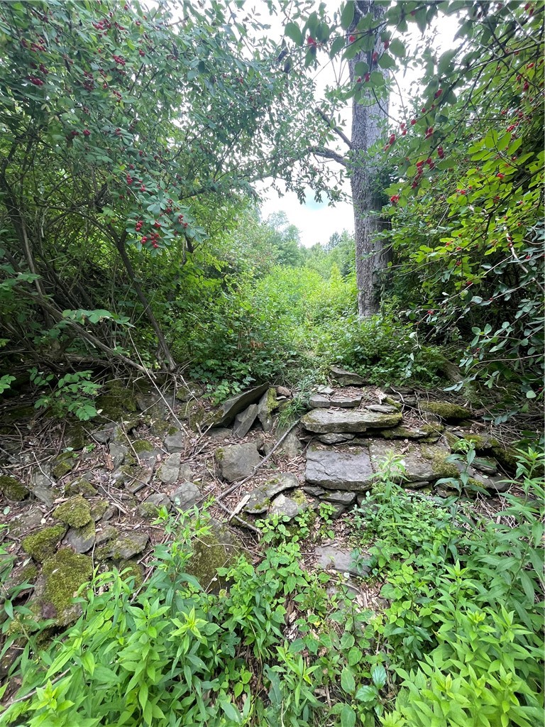 619 Town Line Road German, NY 13801 - Photo 35 of 38 Stone steps leading up to small pond (shared with neighboring land).