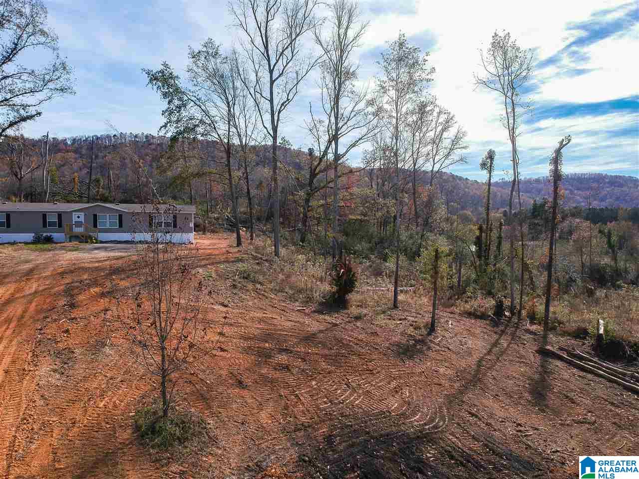 1603 Crudup Road Attalla, AL 35954 - Photo 37 of 37