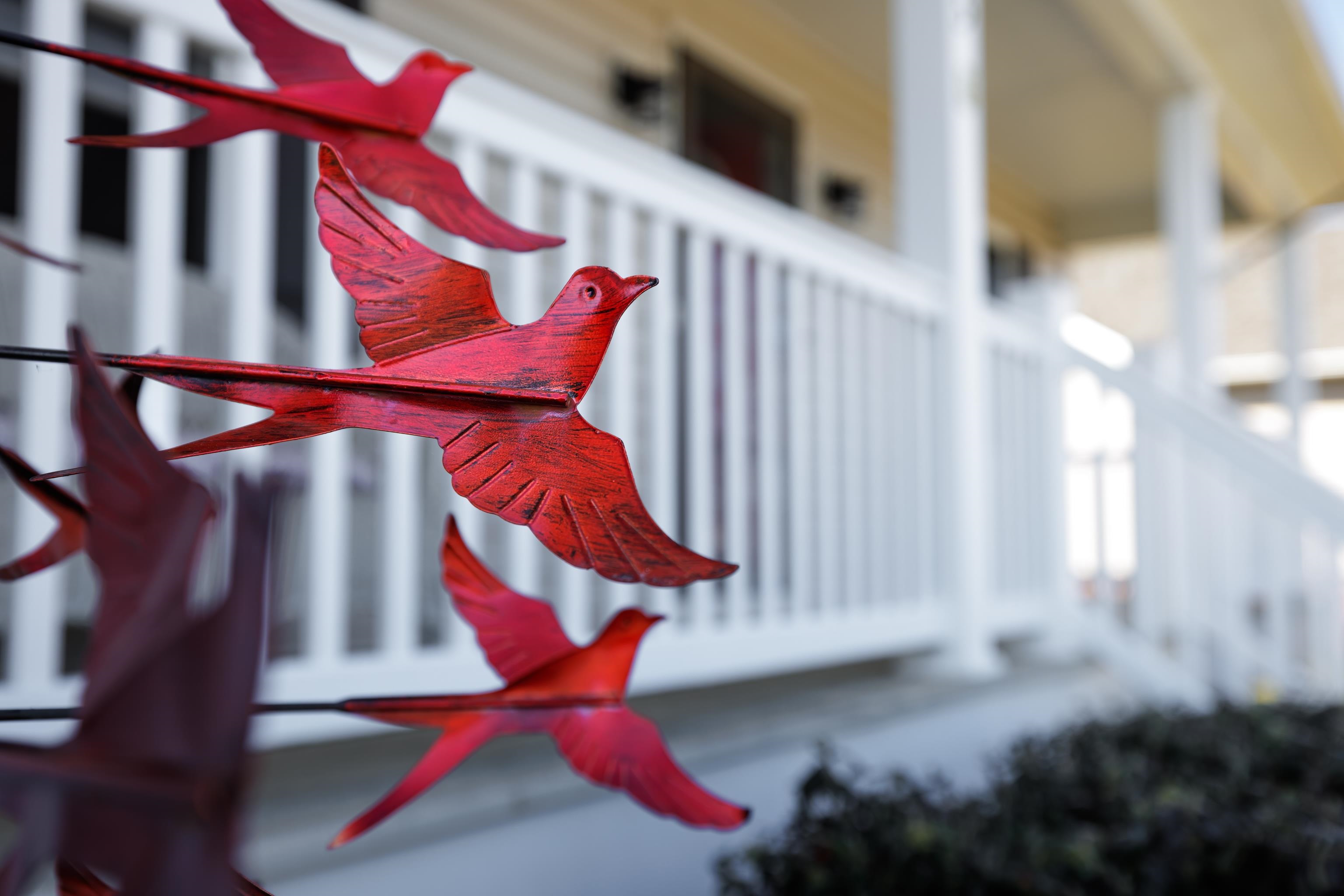 105 Stone Drive Stuarts Draft, VA 24477 - Photo 5 of 62 a view of an entryway with a flower pot and wooden floor