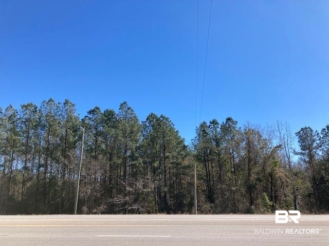 22000-block Highway 31 Flomaton, AL 36441 - Photo 17 of 20