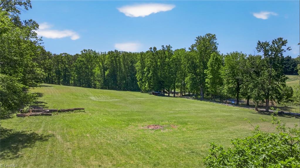 1747 Scalesville Road Summerfield, NC 27358 - Photo 6 of 49