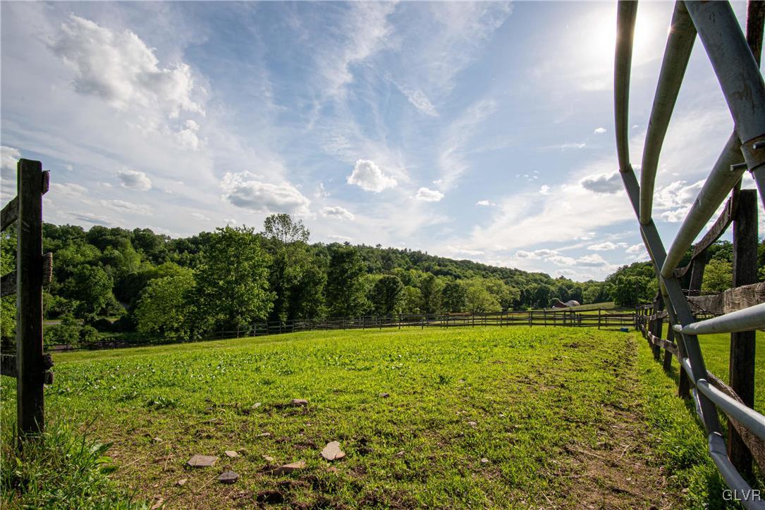 827 Pheasant Run Road Effort, PA 18330 - Photo 47 of 50