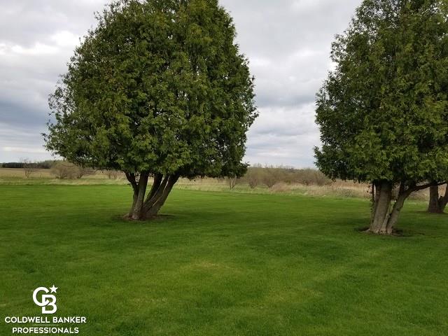 5325 Russell Road Palms, MI 48465 - Photo 8 of 53