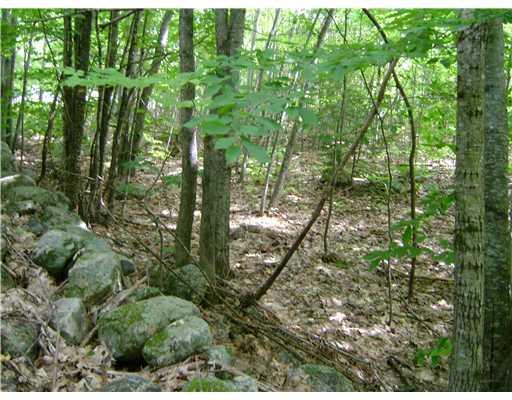 Lot 5 Rolling Brook Road Raymond, ME 04071 - Photo 1 of 2 Land/Lot.