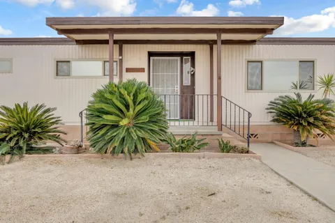 a potted plant in front of a house