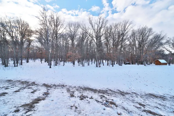 $49,900 | Tbd Ridge Road, Motley, MN 56466