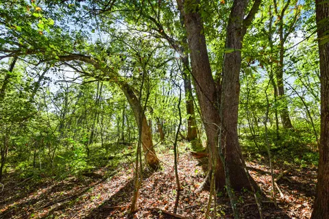 $550,000 | Lot 2 Dividing Ridge Road, Monticello, WI 53570