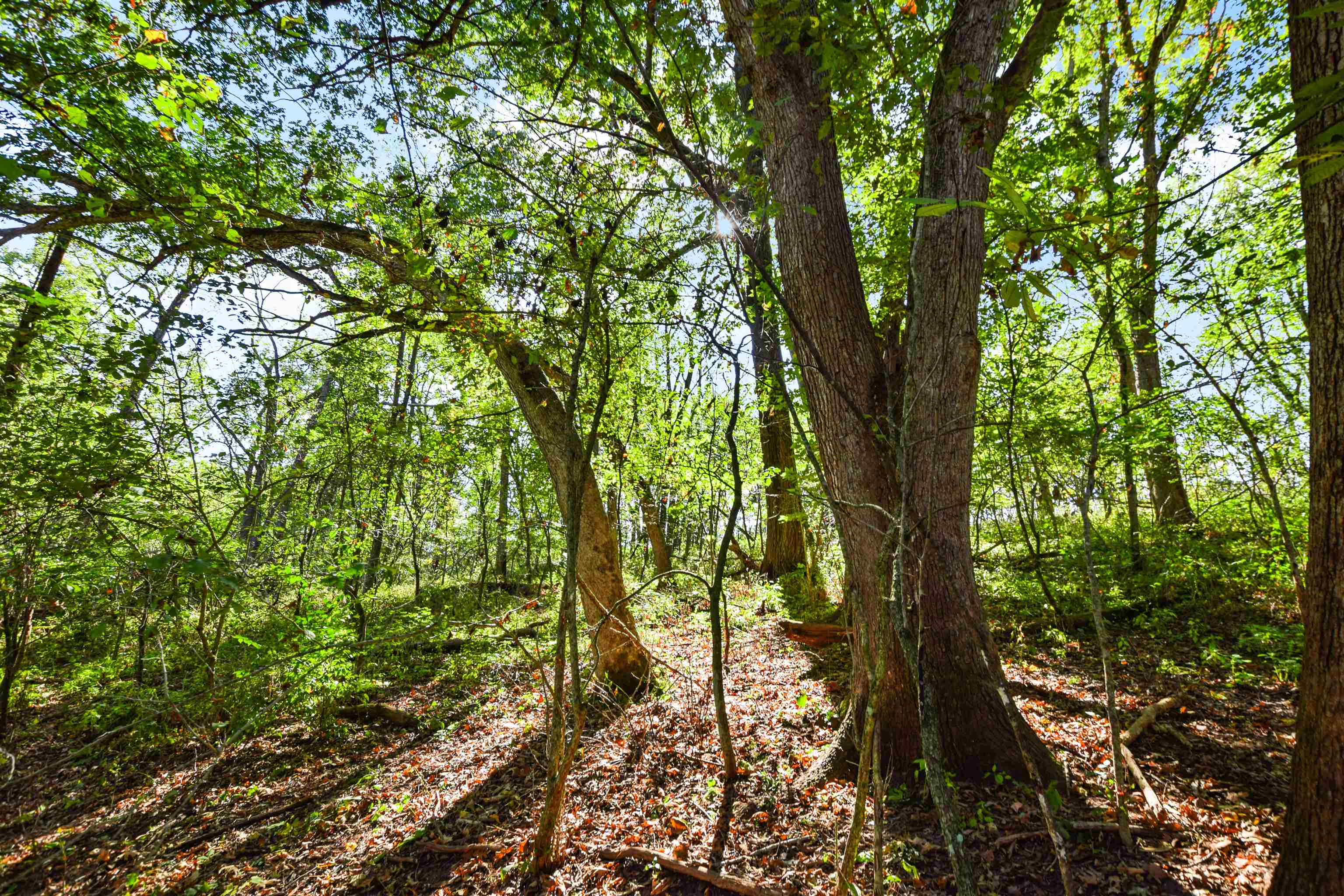 Lot 2 Dividing Ridge Monticello, WI 53570 - Photo 11 of 12