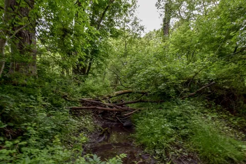 $550,000 | Lot 2 Dividing Ridge Road, Monticello, WI 53570