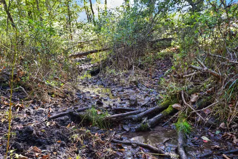 $550,000 | Lot 2 Dividing Ridge Road, Monticello, WI 53570