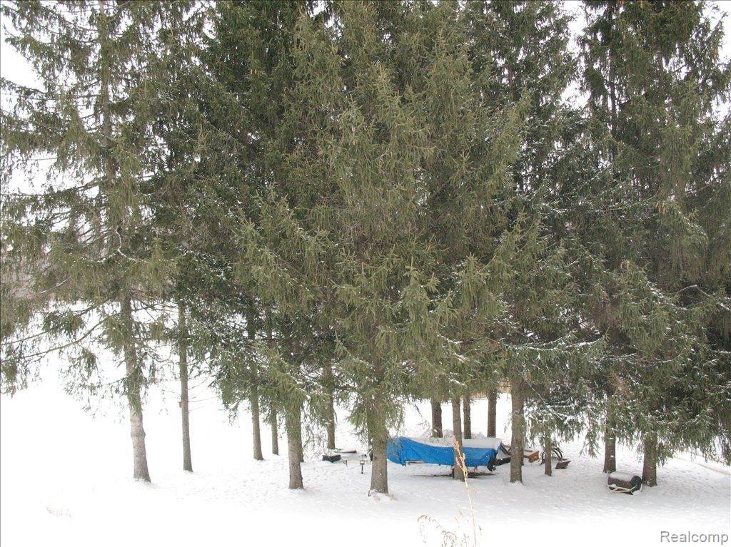 4619 Gregory Road Goodrich, MI 48438 - Photo 6 of 19 Lots of Trees