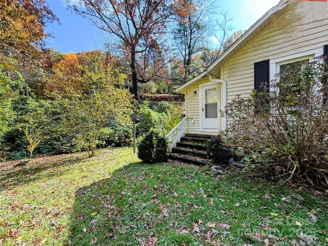 a view of a yard with plants and large trees