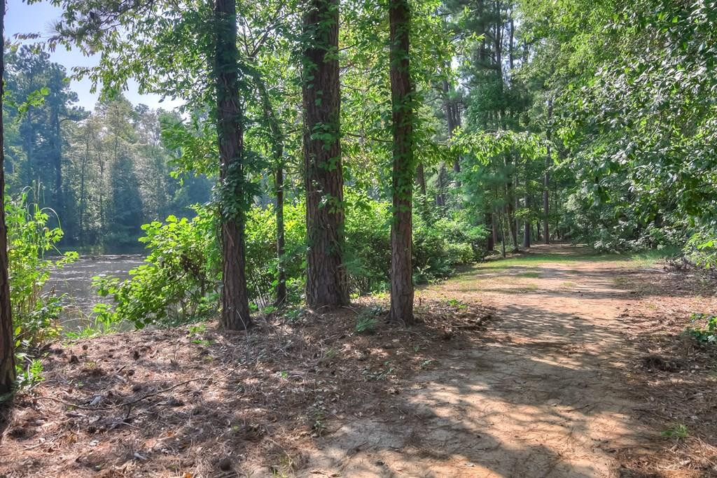 204 Steeple Ridge Road Aiken, SC 29803 - Photo 5 of 10 Gallery Image 5