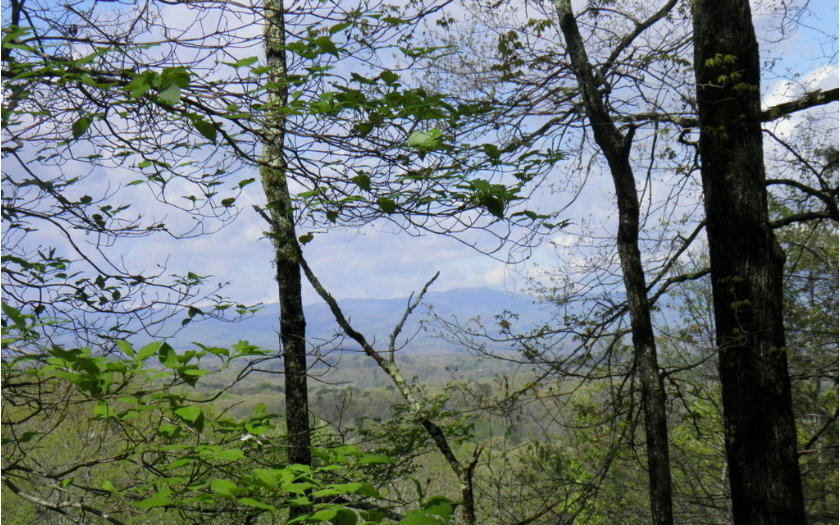 Lot20 Rooks Road Mineral Bluff, GA 30559 - Photo 1 of 1 Main View