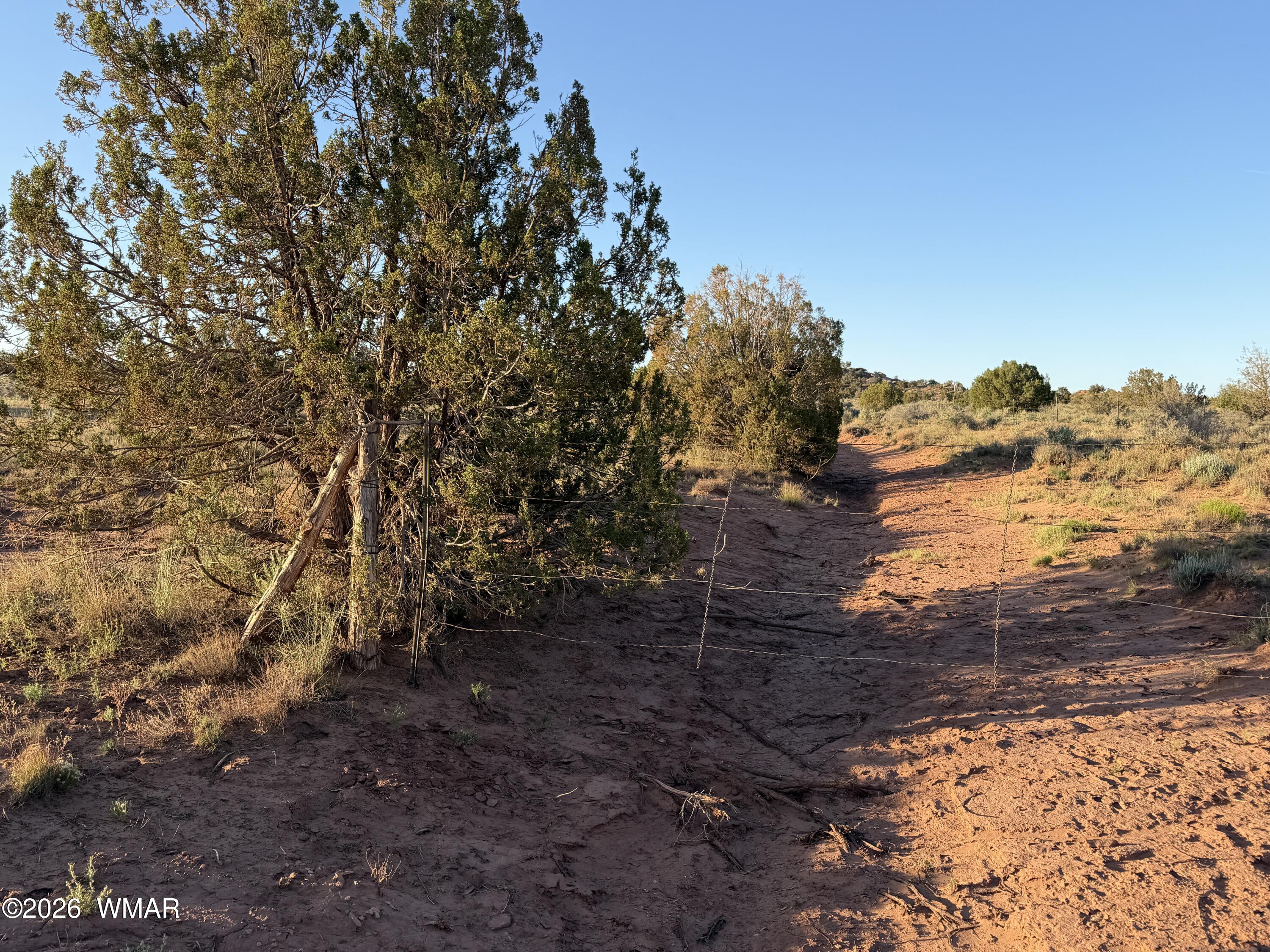 3791 Anasazi Road Snowflake, AZ 85937 - Photo 19 of 19 a view of a yard