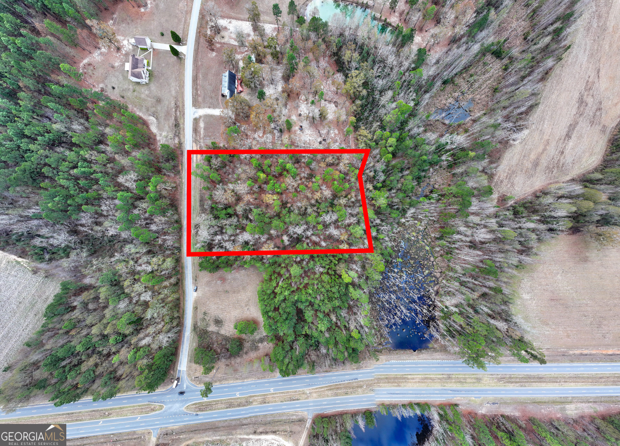 4-acres Carlton Road Garfield, GA 30425 - Photo 4 of 15