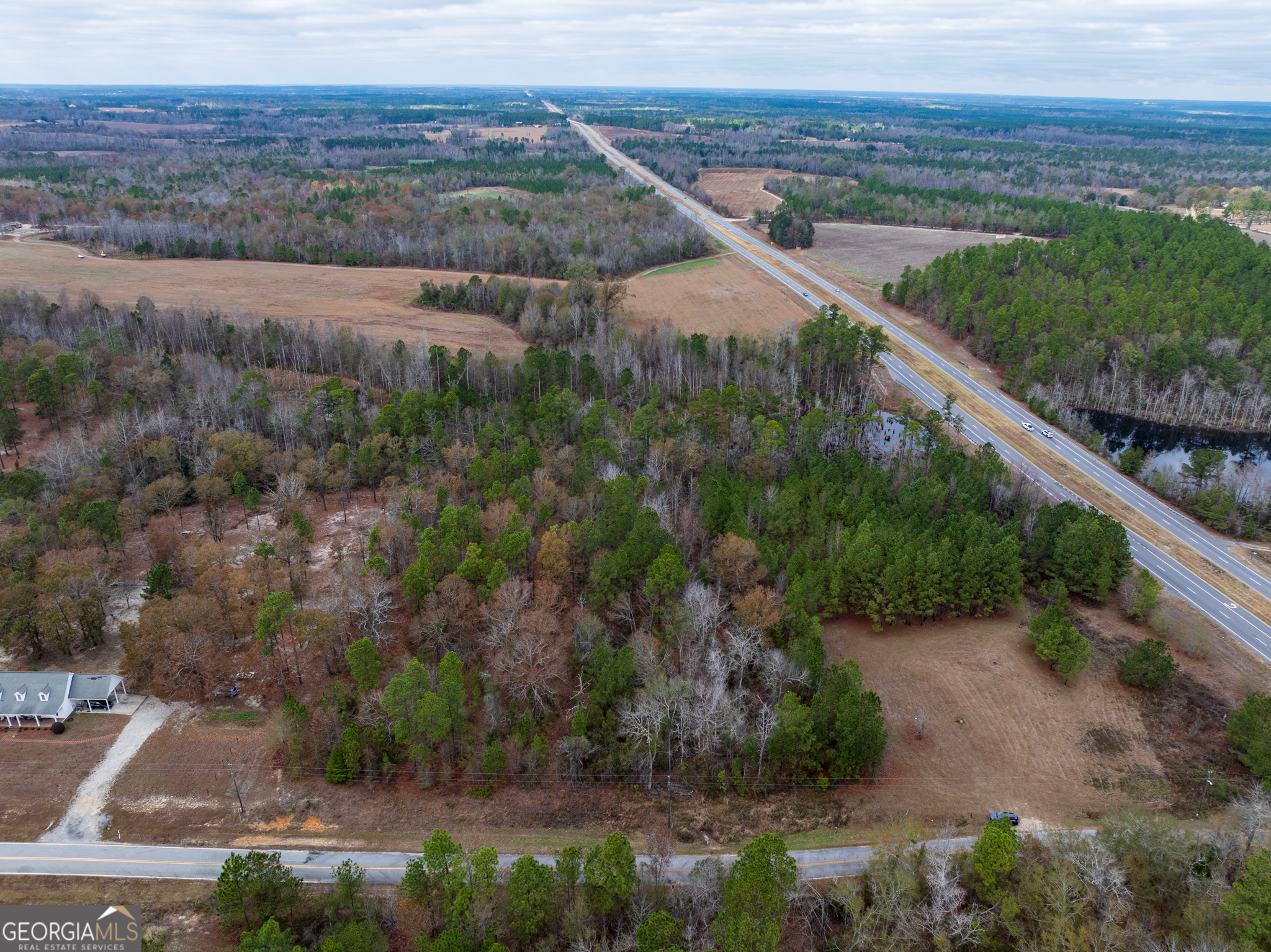4-acres Carlton Road Garfield, GA 30425 - Photo 6 of 15