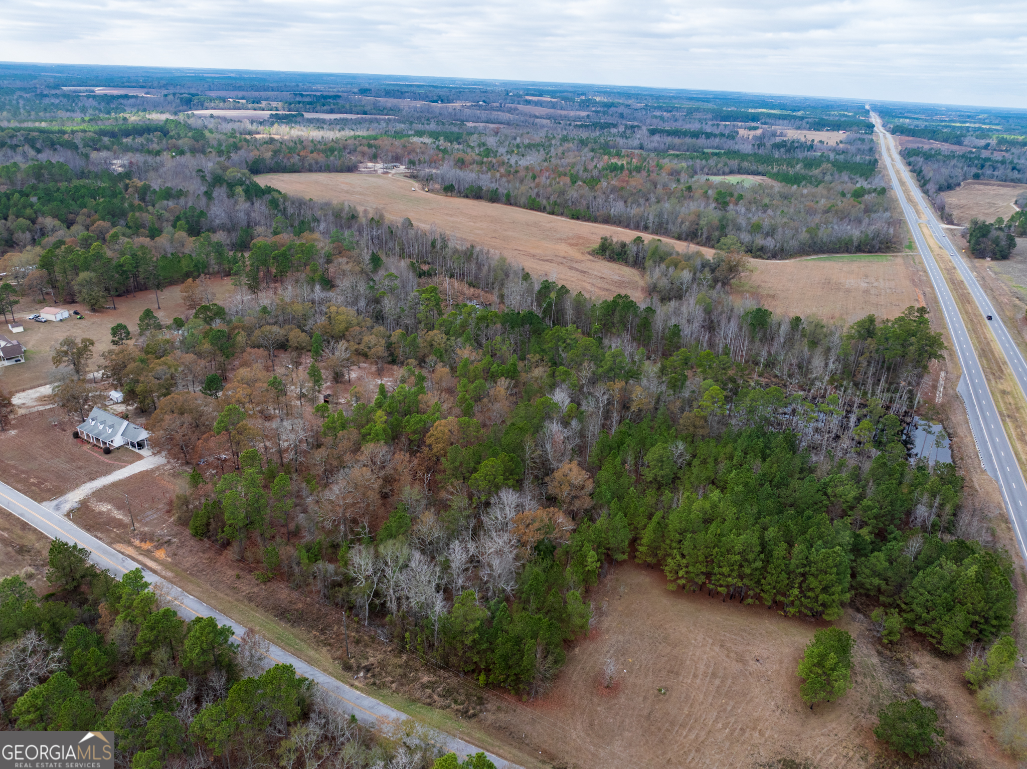 4-acres Carlton Road Garfield, GA 30425 - Photo 7 of 15
