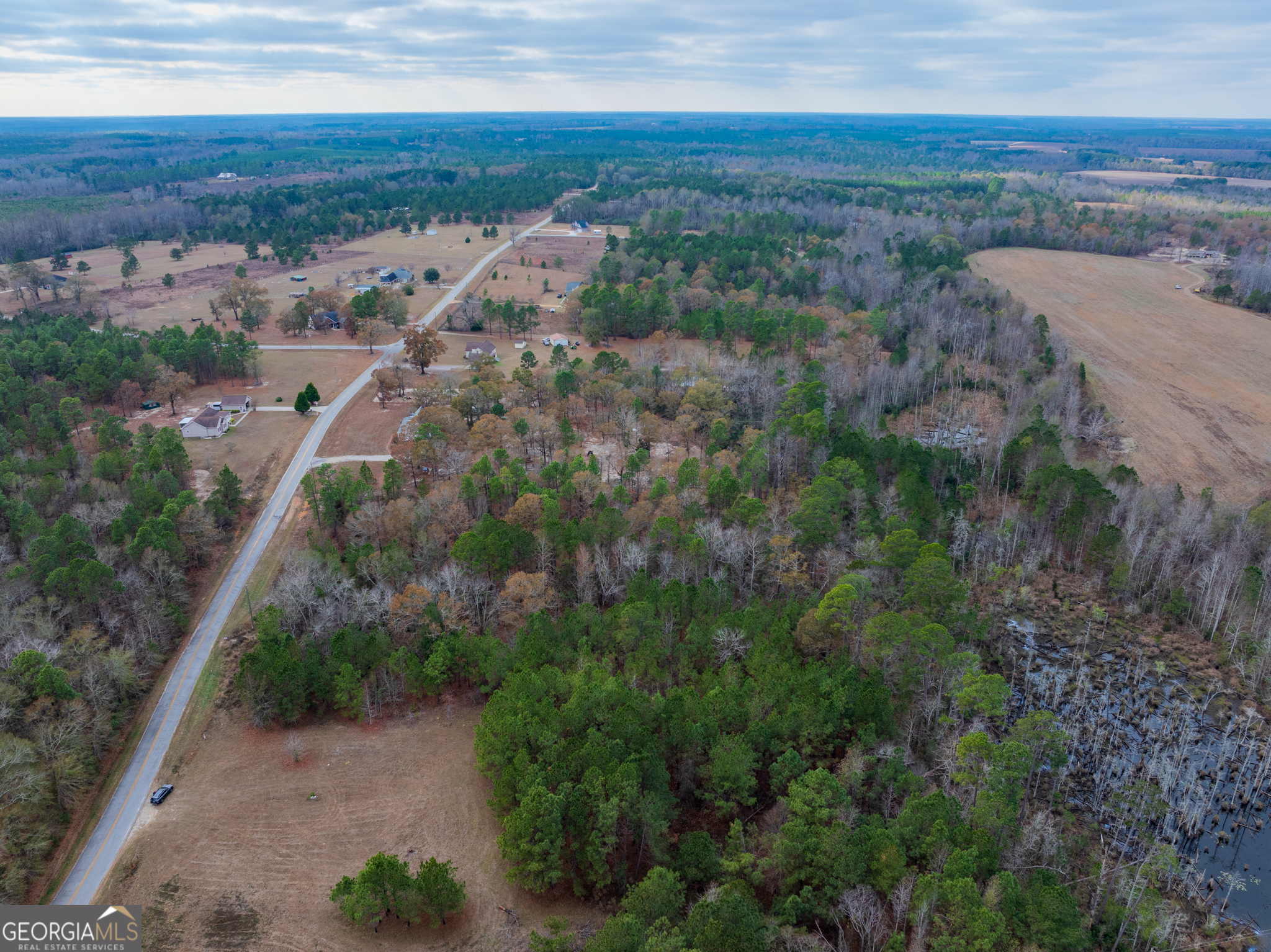 4-acres Carlton Road Garfield, GA 30425 - Photo 8 of 15
