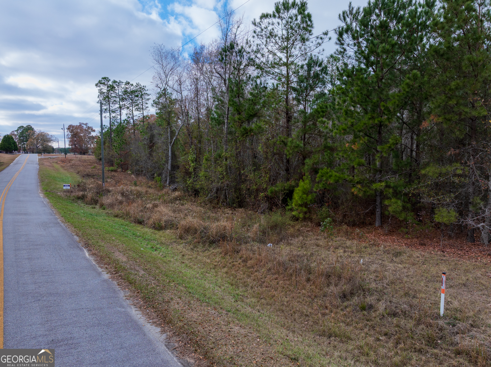 4-acres Carlton Road Garfield, GA 30425 - Photo 9 of 15