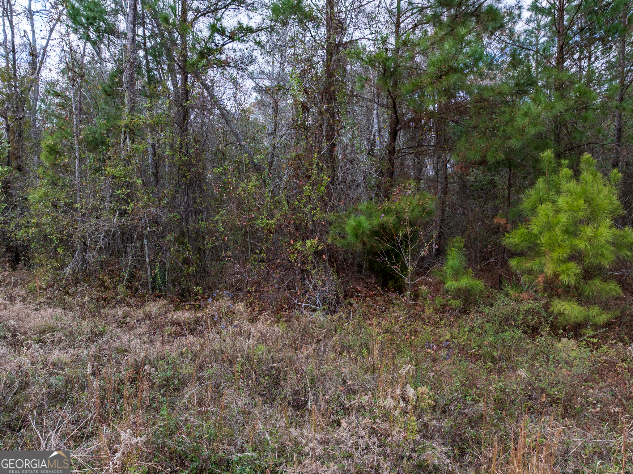 4-acres Carlton Road Garfield, GA 30425 - Photo 10 of 15