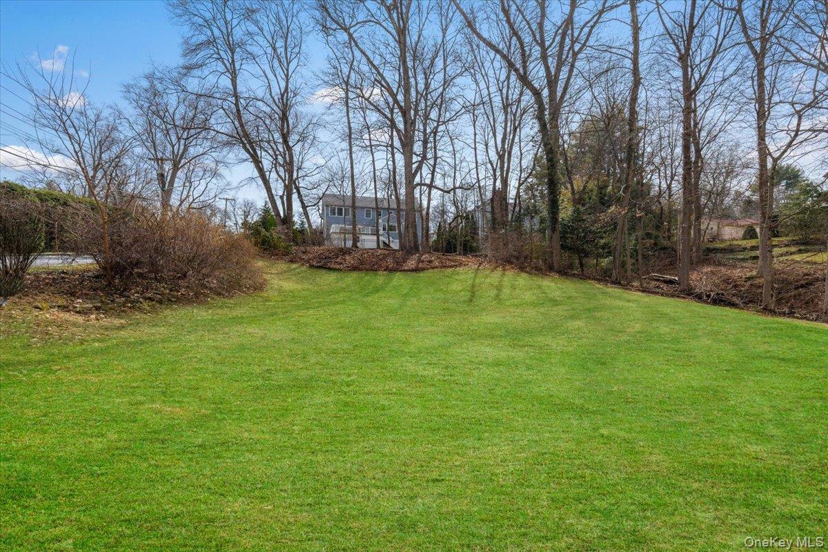 111 Spier Road Scarsdale, NY 10583 - Photo 30 of 37 a view of a backyard with large trees