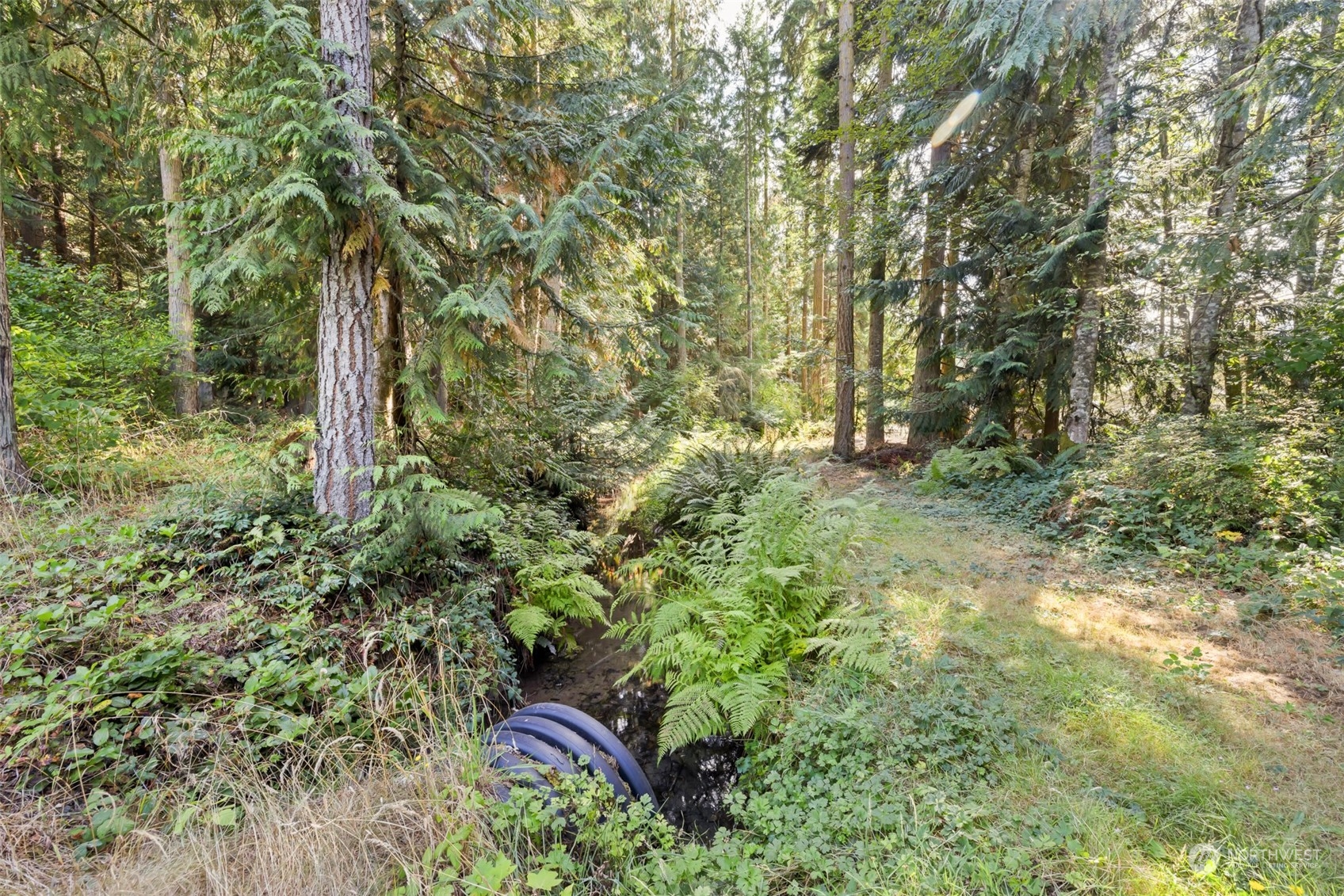 4982 Happy Valley Road Sequim, WA 98382 - Photo 34 of 40 a view of outdoor space and garden