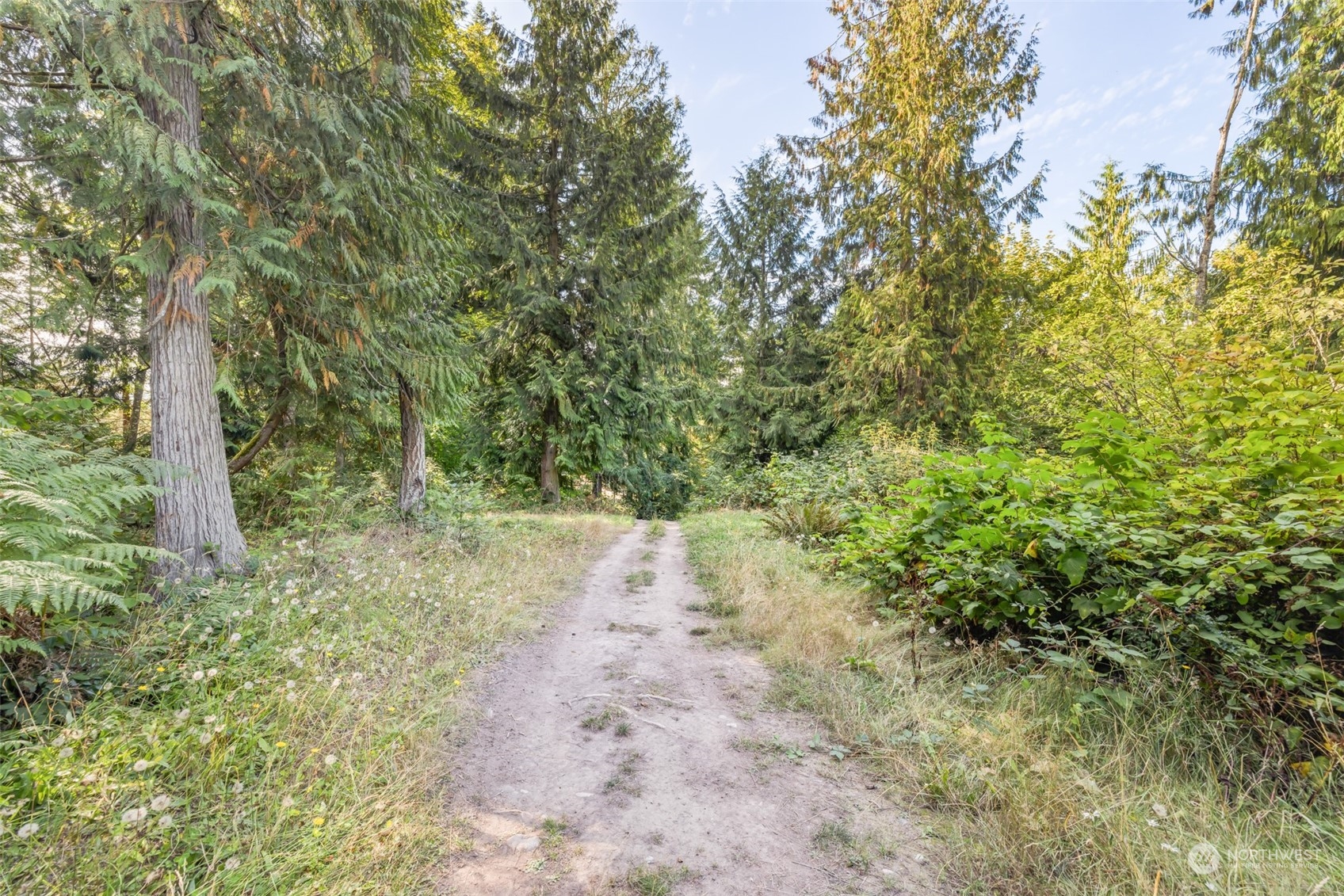 4982 Happy Valley Road Sequim, WA 98382 - Photo 35 of 40 a view of a forest with trees in the background