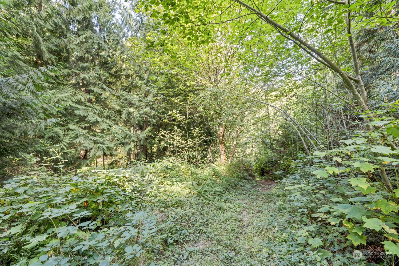 4982 Happy Valley Road Sequim, WA 98382 - Photo 36 of 40 a view of a lush green forest