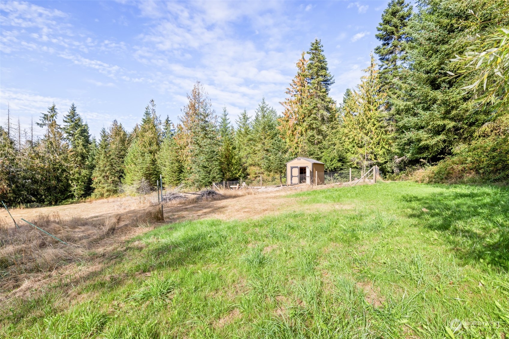 4982 Happy Valley Road Sequim, WA 98382 - Photo 38 of 40 a view of a yard with plants and trees
