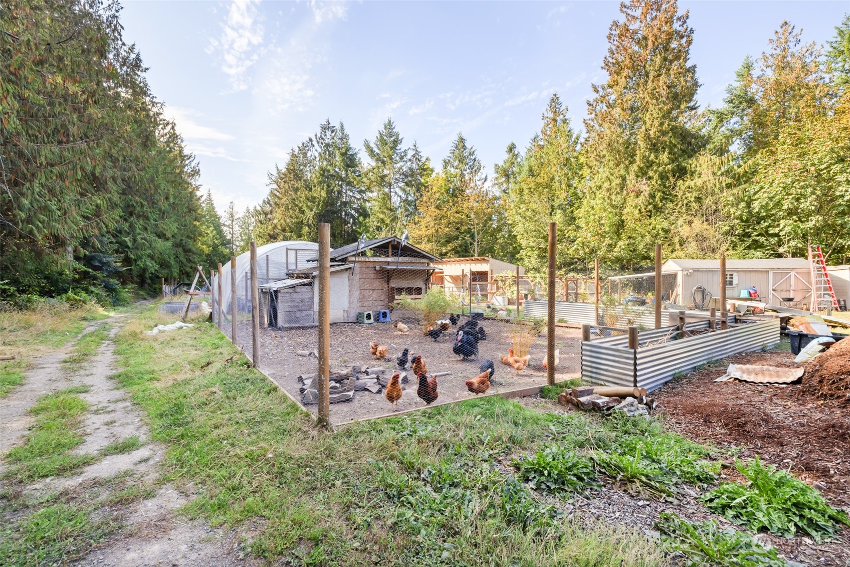 4982 Happy Valley Road Sequim, WA 98382 - Photo 40 of 40 a view of a backyard with wooden fence and a bench