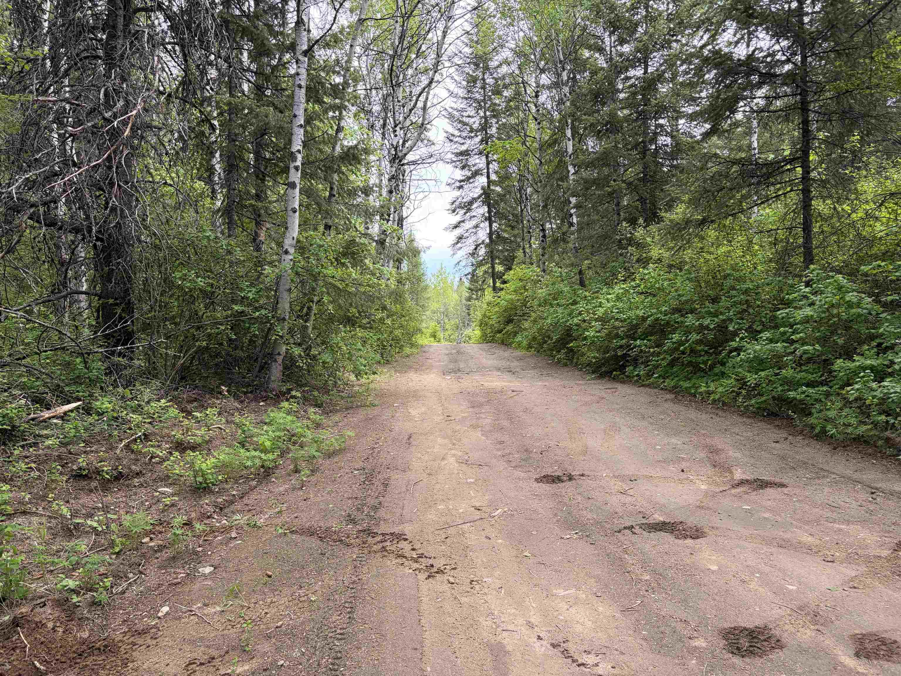 Nka Lookout Road Newport, WA 99156 - Photo 2 of 13