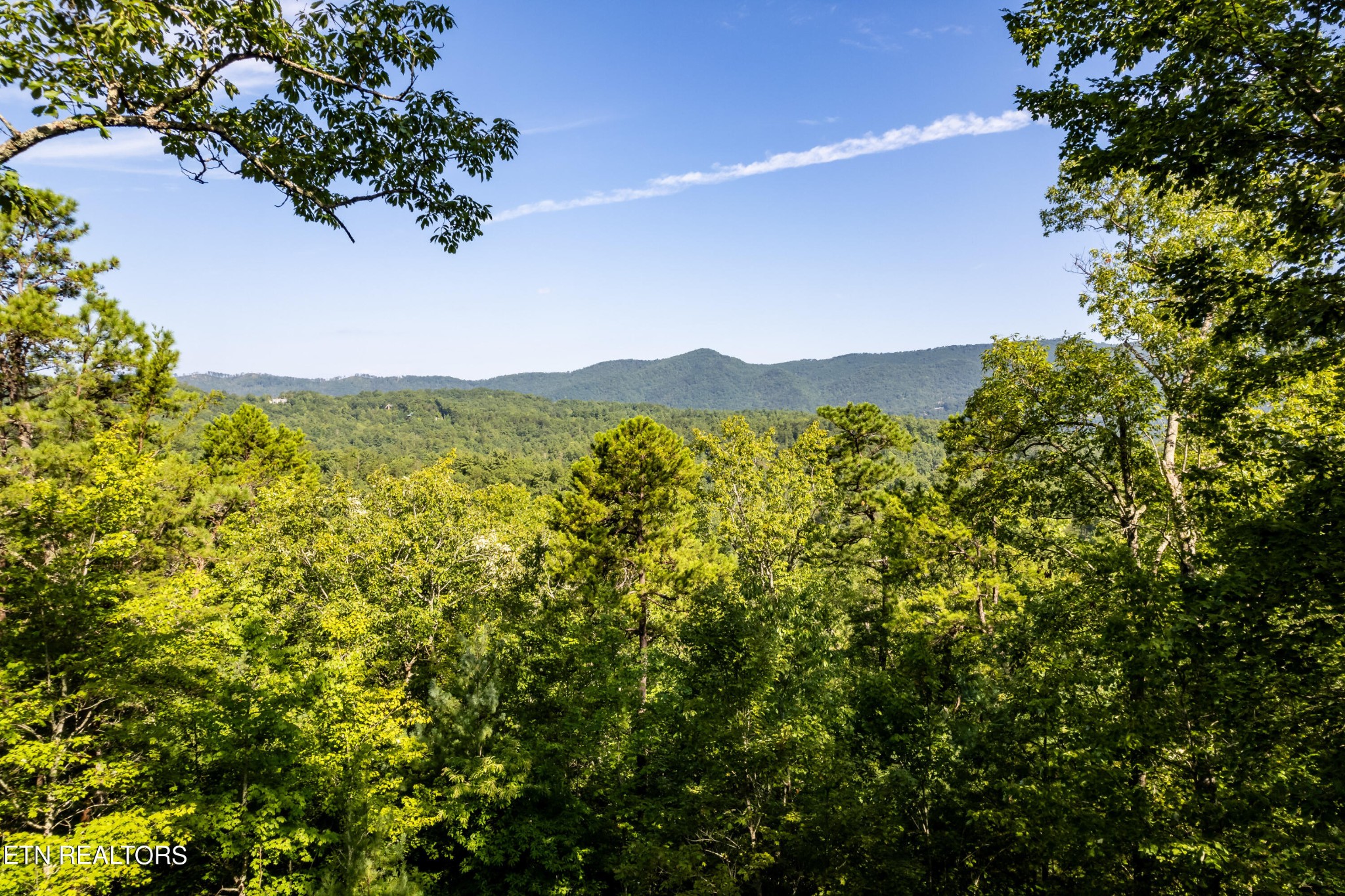 1621 Walnut Flats Road Walland, TN 37886 - Photo 29 of 57 Gallery Image 29