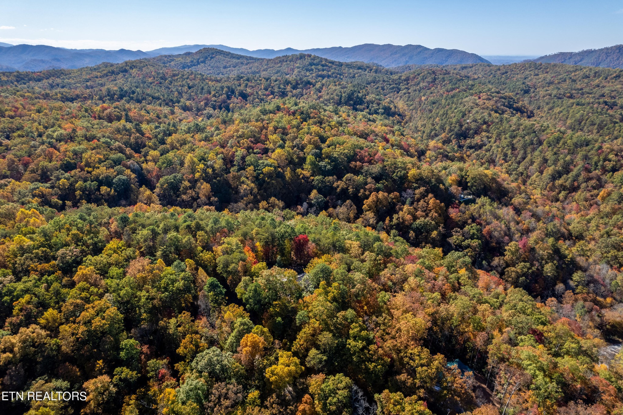1621 Walnut Flats Road Walland, TN 37886 - Photo 54 of 57 Gallery Image 54