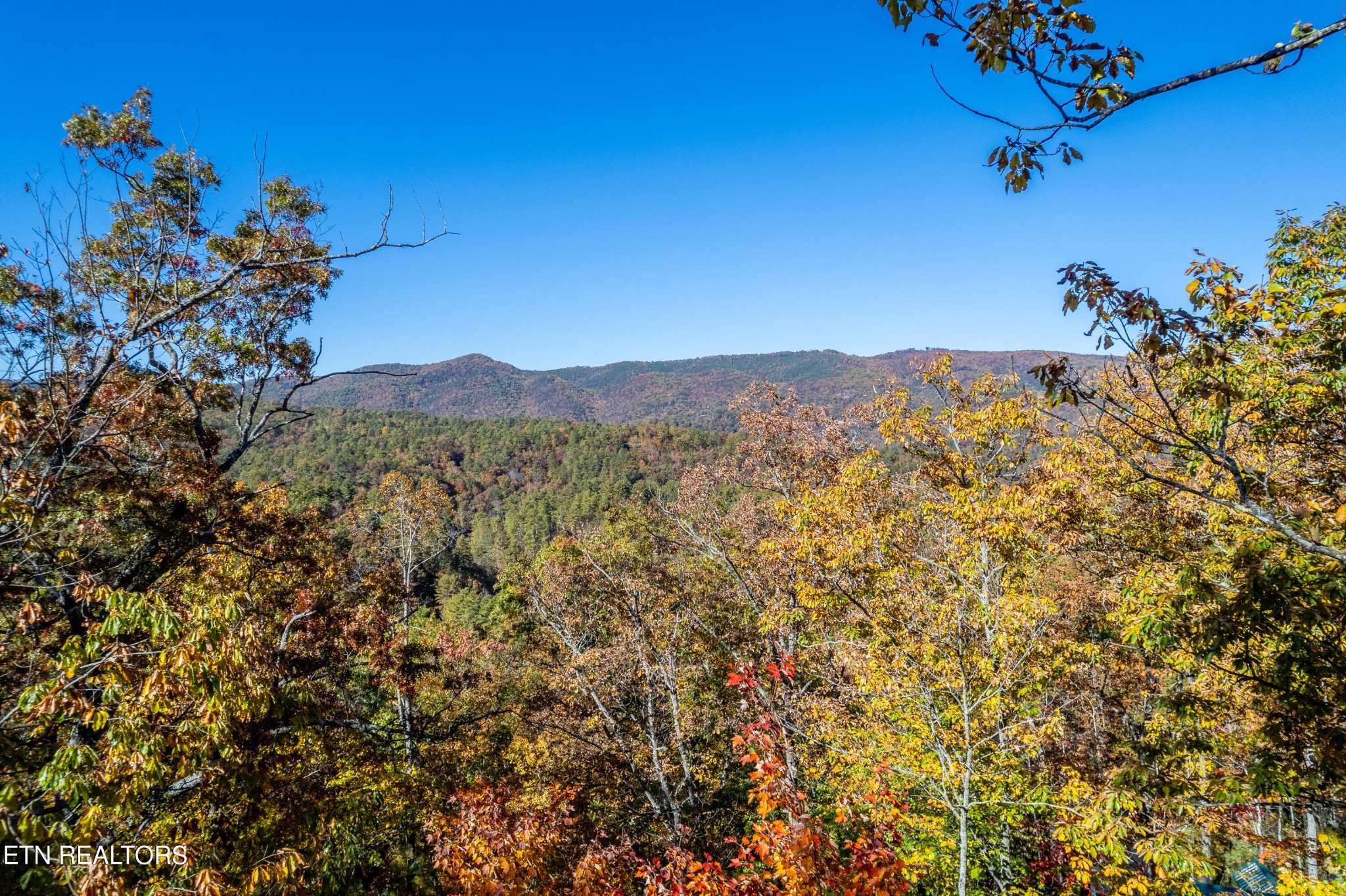 1621 Walnut Flats Road Walland, TN 37886 - Photo 8 of 57 Gallery Image 8