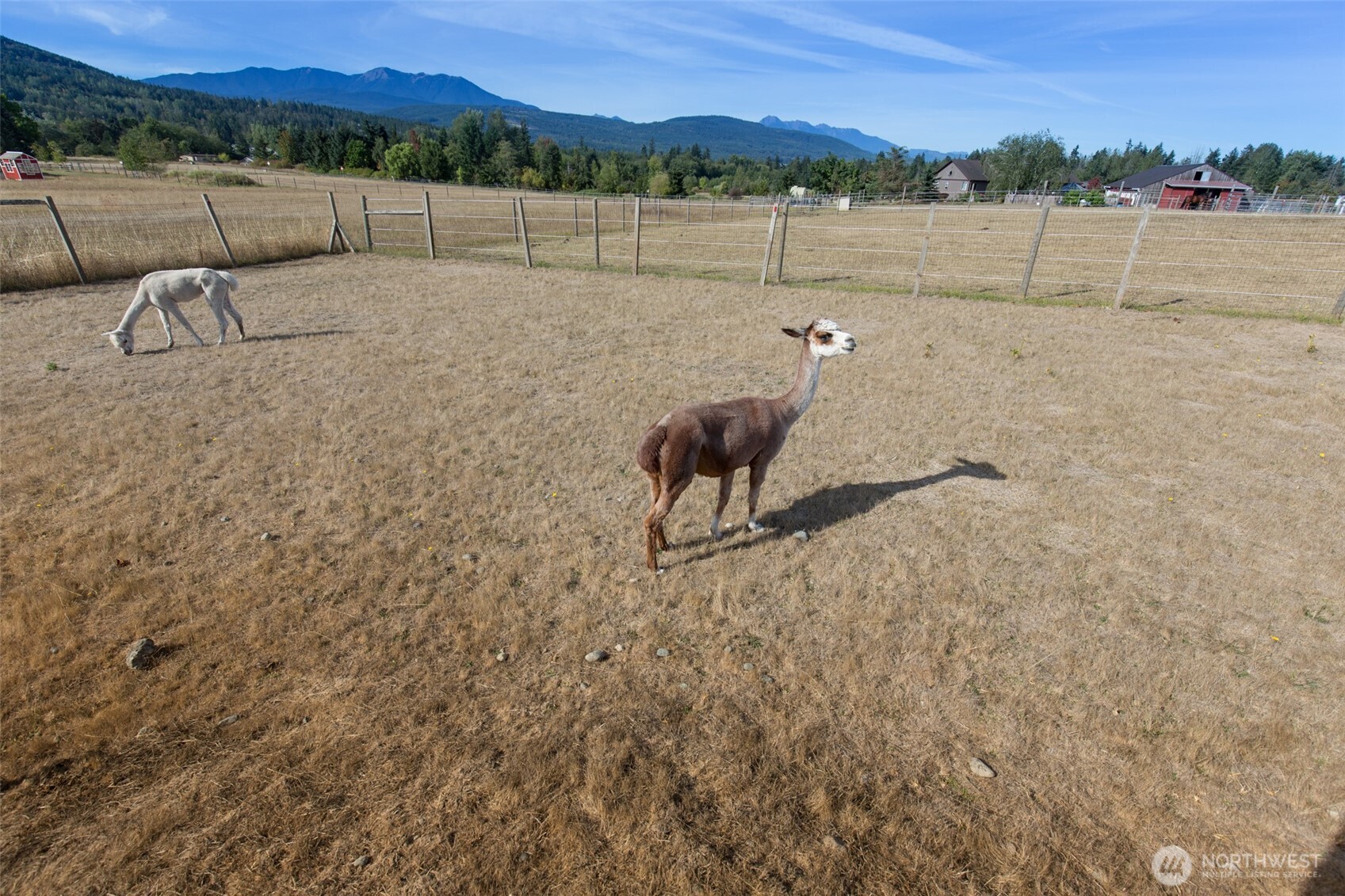 4629 Happy Valley Road Sequim, WA 98382 - Photo 38 of 40 Gallery Image 38