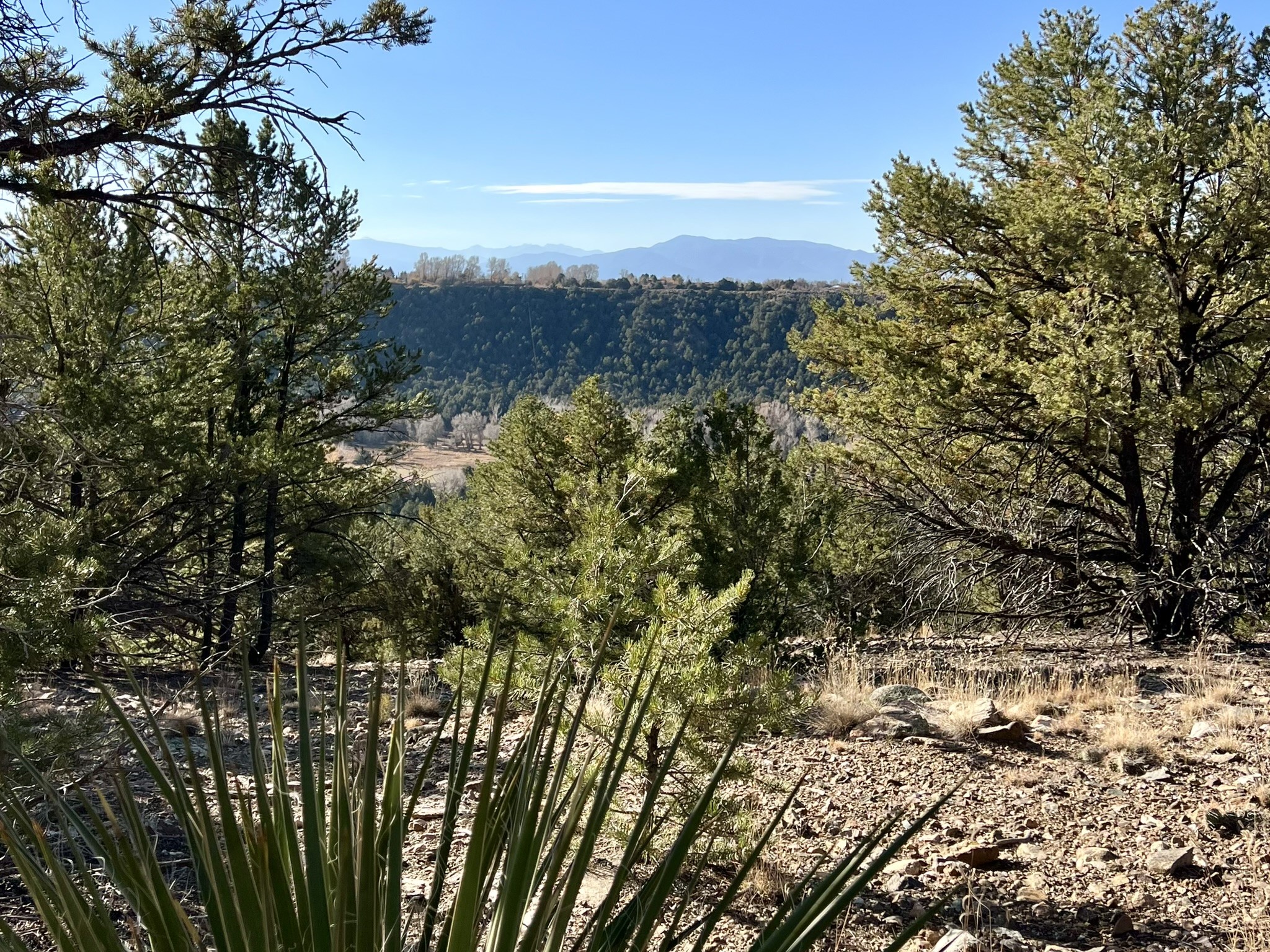 0 Gallina Canyon Road Valdez, NM 87580 - Photo 4 of 24