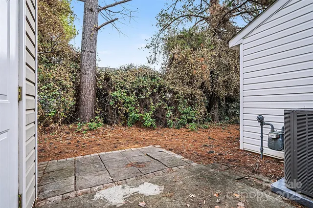 a view of a pathway with a tree