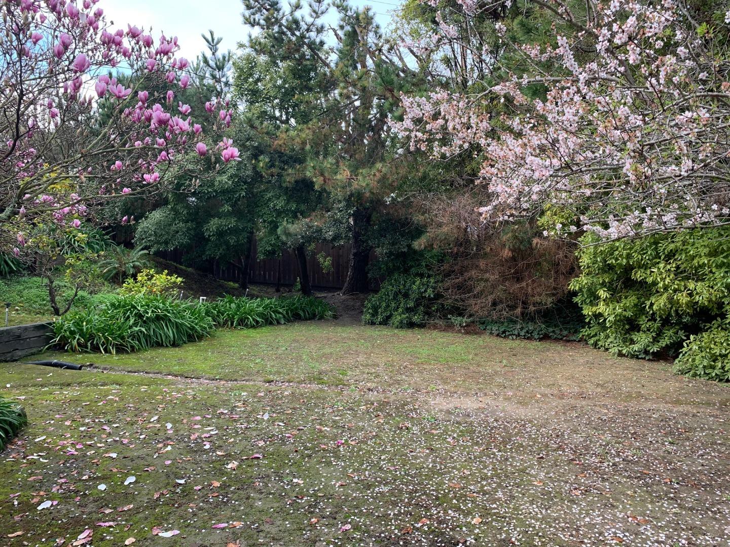 17 Corte Princesa Millbrae, CA 94030 - Photo 11 of 11