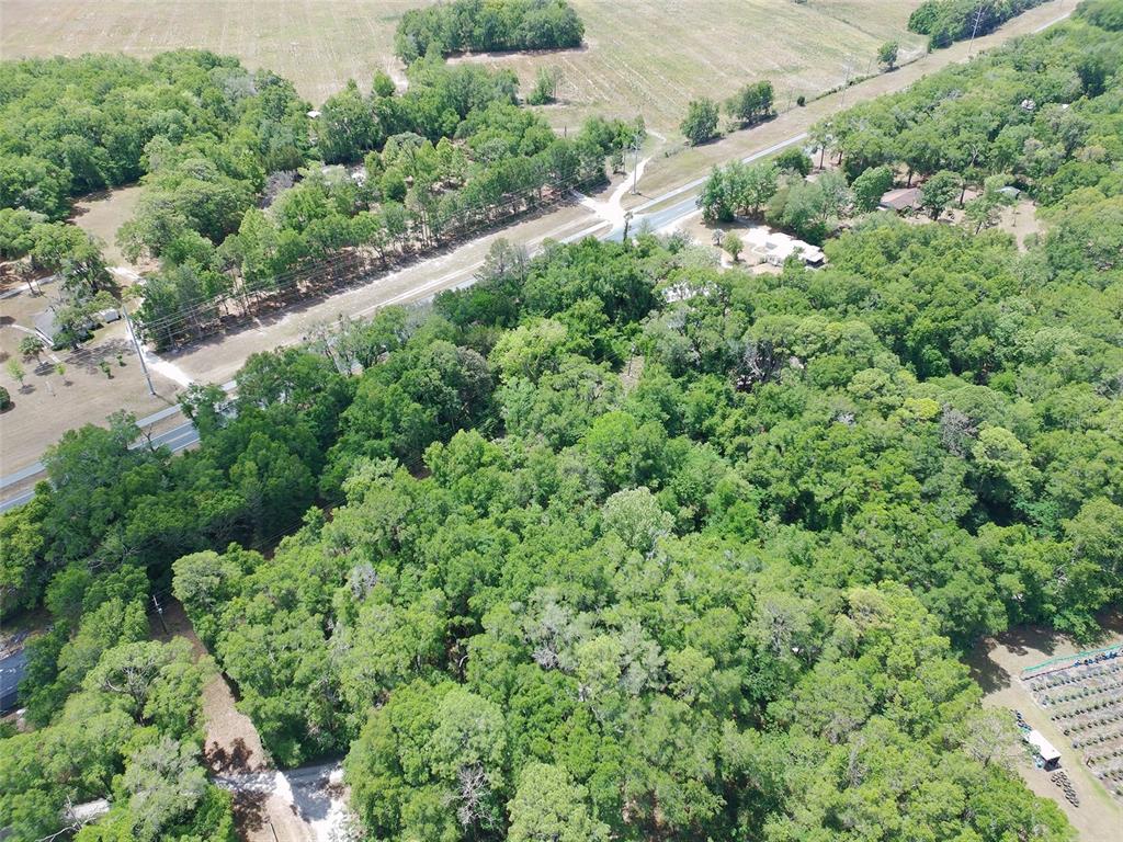 9820 Southwest Archer Road Gainesville, FL 32608 - Photo 3 of 17