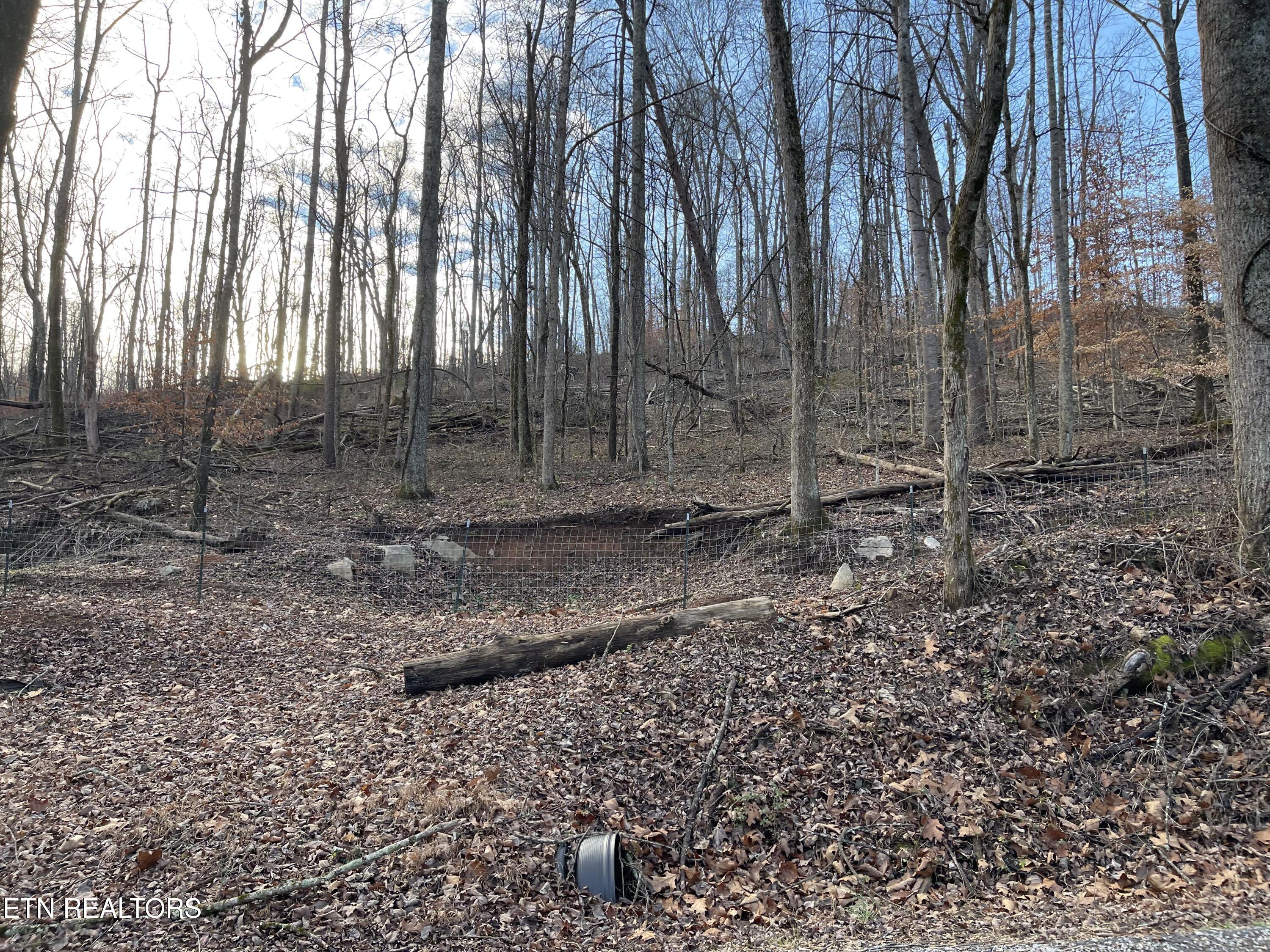Longfield Road Rocky Top, TN 37769 - Photo 5 of 12 IMG_0291