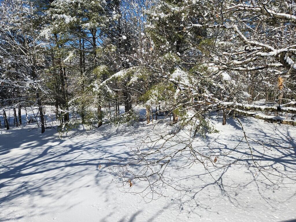 365 Dow Road Orrington, ME 04474 - Photo 36 of 55 20230303_111333_resized (Copy)