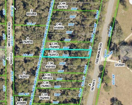 Treiman Boulevard Webster, FL 33597 - Photo 2 of 6